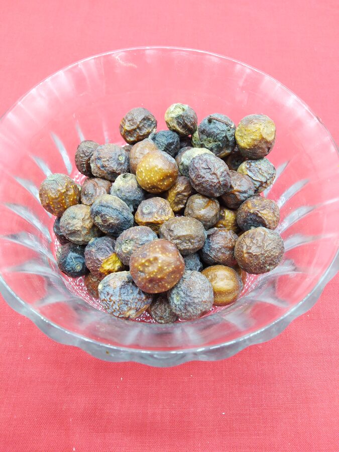 Bakayan (Persian Lilac)